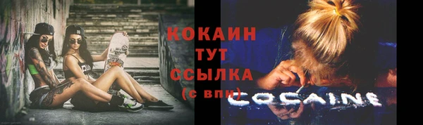 спайс Нея