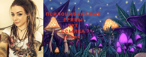 спайс Нея