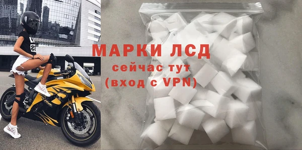спайс Нея