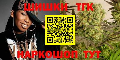 индика Бийск