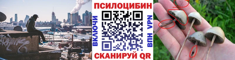 цена   Заинск  Галлюциногенные грибы Psilocybe 