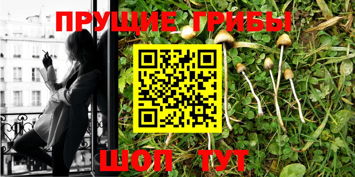 Псилоцибиновые грибы Magic Shrooms Заинск