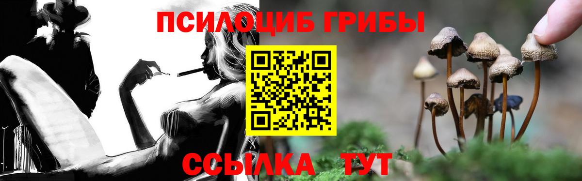 Заинск  Псилоцибиновые грибы MAGIC MUSHROOMS  дарнет шоп  Вход с VPN 